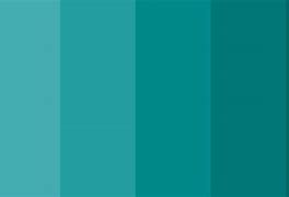 Image result for Color Combination for Cyan
