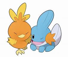 Image result for Torchic Mudkip