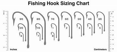 Image result for 4 Inch Hook Lengths