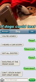 Image result for Dog Texting Memes