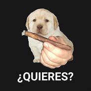 Image result for Quieres Meme Hand