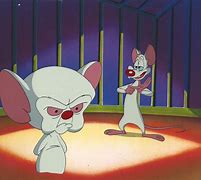 Image result for Pinky and the Brain Life Like