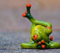 Image result for Frog Chilling