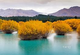 Image result for Bing Daily Wallpaper Today
