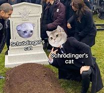 Image result for Meme Schrodinger Timesheet