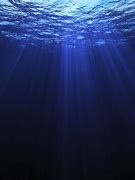 Image result for Deep Blue Sea Susan Death