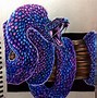 Image result for Galaxy Animals Drawing