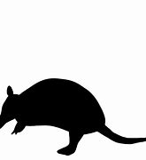 Image result for Armadillo Silhouette