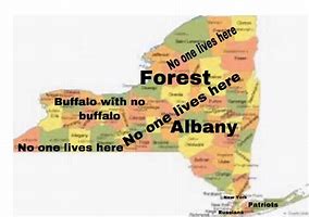 Image result for Divisions of New York State Joke