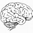 Image result for Brain Outline Blank