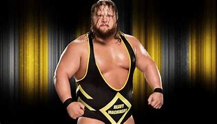 Image result for WWE College