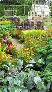 Image result for Flower and Vegetable Garden Layout