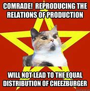 Image result for Comrade Cat Meme