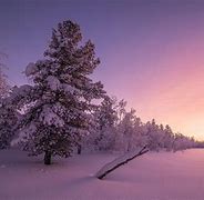 Image result for Winter Snow Scenes Desktop Wallpaper