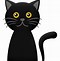 Image result for Cartoon Cat iPhone Case