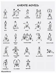 Image result for Best Karate Moves DVD