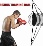 Image result for Double Bag Boxing