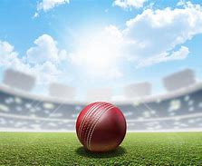 Image result for Cricket Ball 4K Animation