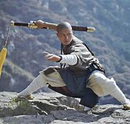 Image result for Martial Arts Action Poses