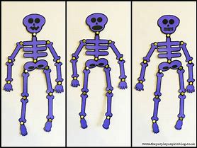 Image result for Build a Skeleton