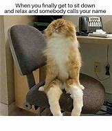 Image result for Relax Meme