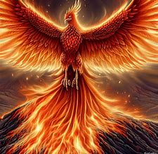 Image result for Colurful Phoenix