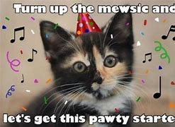 Image result for Celebration Cat Meme