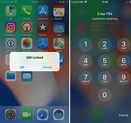 Image result for Sim Pin