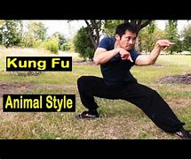 Image result for Most Unique Kung Fu Styles
