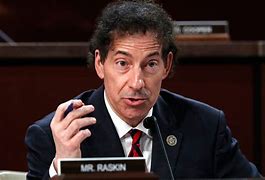 Image result for Jamie Raskin Hair Cover