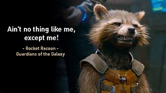 Image result for Guardians of the Galaxy Rocket Meme and That Guys