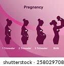 Image result for Pregnancy Humor