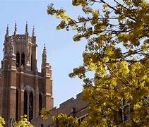 Image result for Marquette University Background