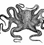 Image result for Octopus Monster Clip Art