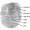 Image result for CSI Fingerprint