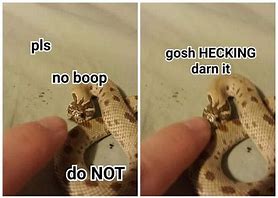 Image result for Snek Meme