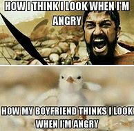 Image result for Anger Video Meme