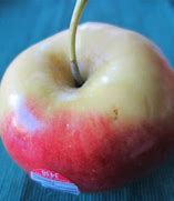 Image result for Ambrosia Apple