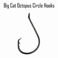 Image result for Circle Hooks for Freshwater Fishing