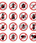 Image result for All Types of Pest