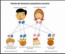 Image result for acrdencia
