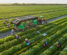 Image result for Green Organic Farm