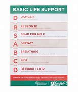 Image result for Basic Life Support Cabd