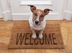 Image result for Welcome New and Improved