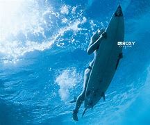 Image result for Roxy Surfing in Hawaii