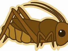 Image result for Cartoon Brown Cricket