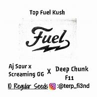 Image result for Top Fuel Magnito