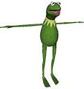 Image result for Kermit T-Pose