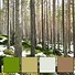 Image result for Nature Color Theme