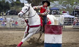 Image result for Western Riding Barrel Racing